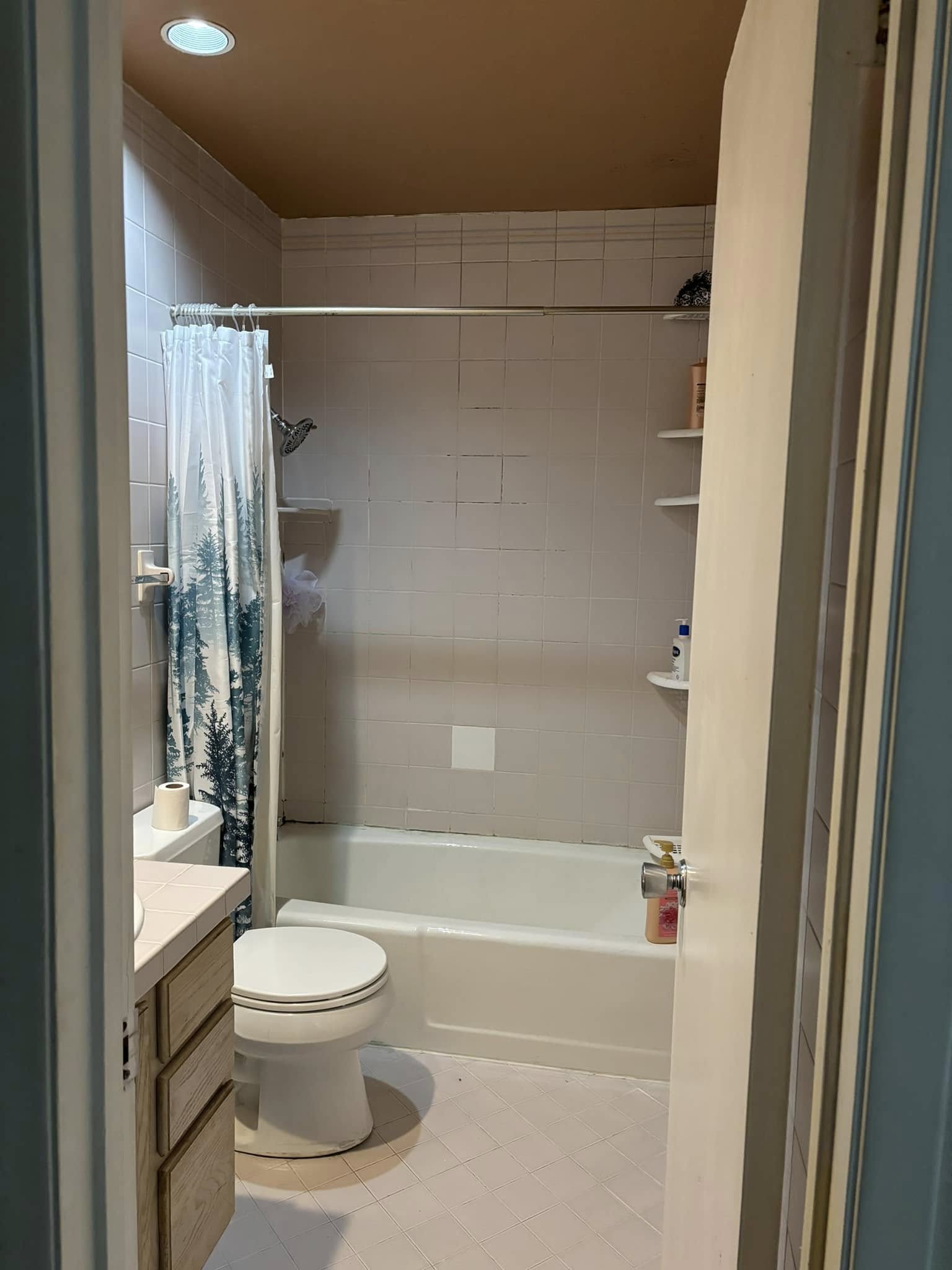 Luxury Bathroom Renovation - Before